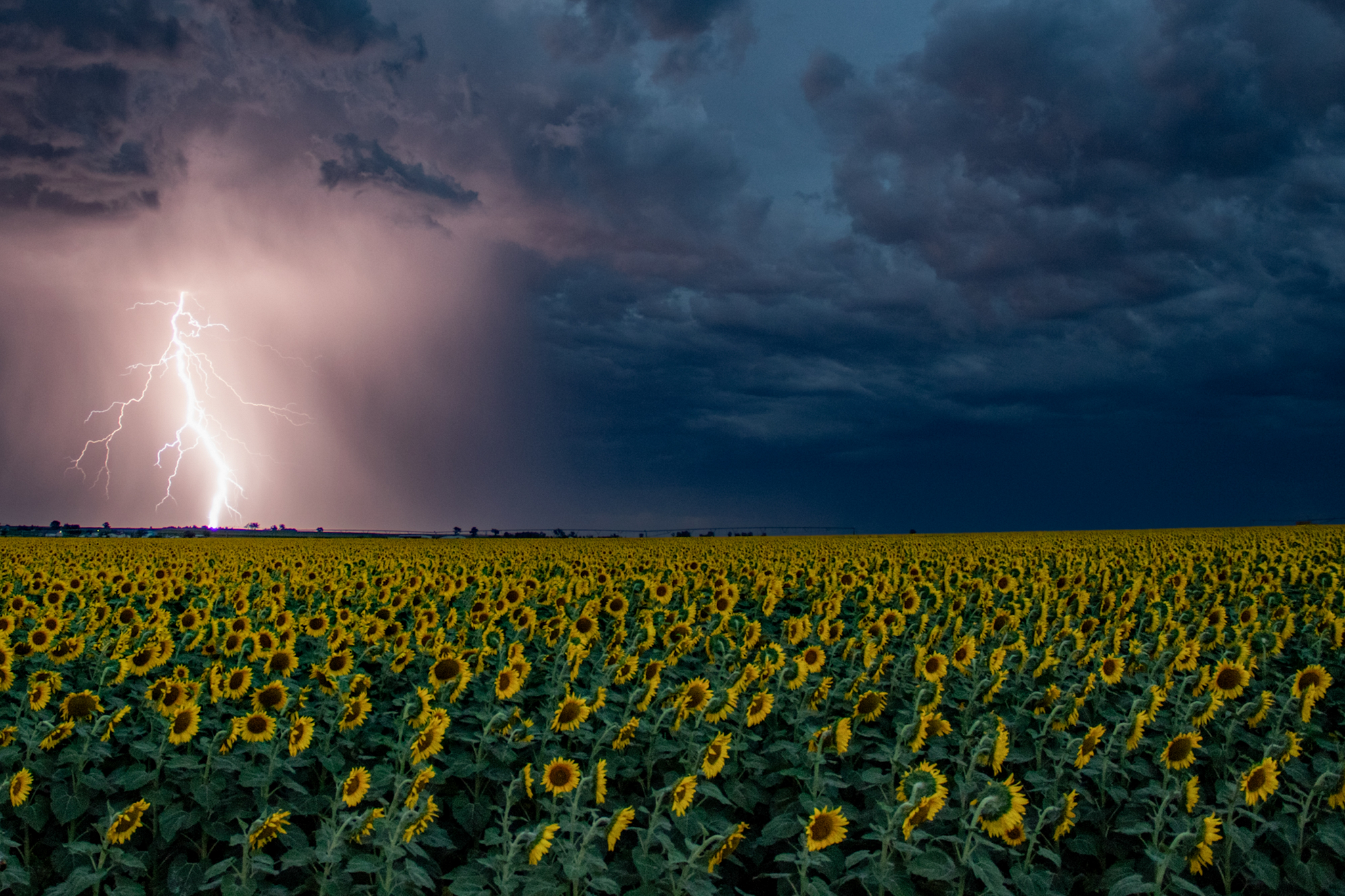 custom-slideshow-image-desktop-block_9MJKrw