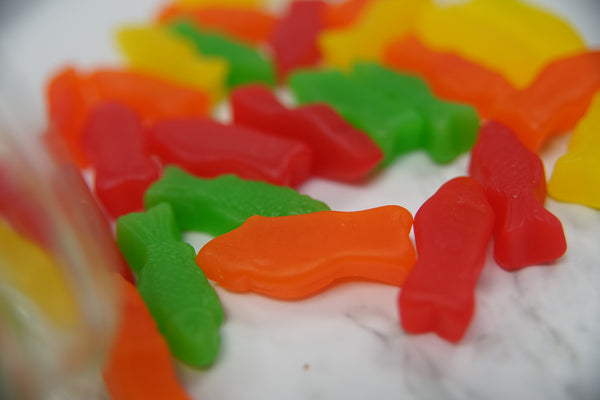 Assorted Fish Close Up